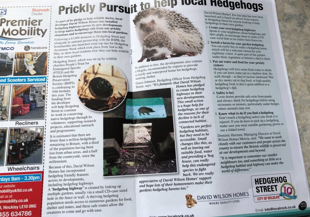 Picture of article entitled Prickly Pursuit to help local Hedgehogs