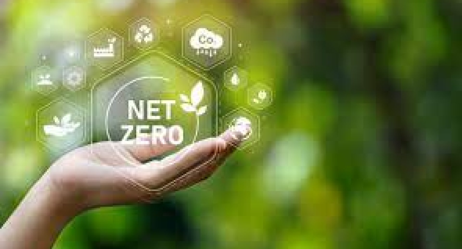 Net Zero Tackling Climate Change