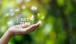 Net Zero Tackling Climate Change