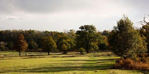 Introduction to Local Nature Recovery (Leicestershire, Leicester & Rutland)
